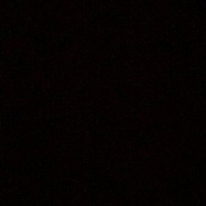 Meet your Posher, Lucy